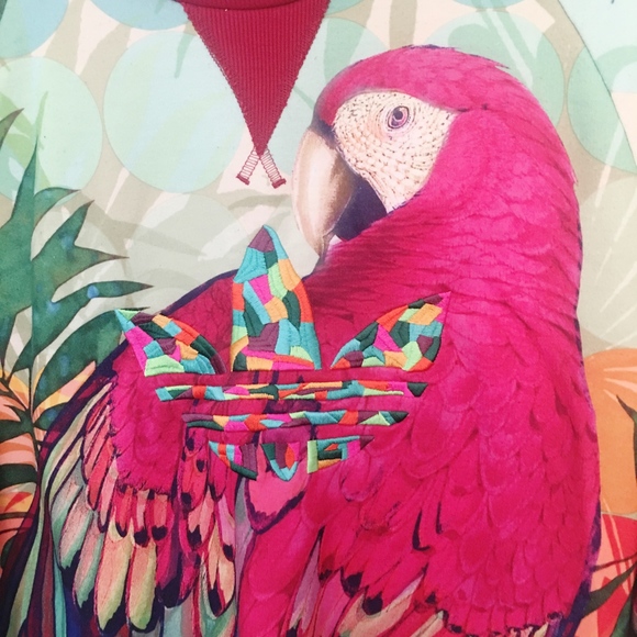 Colorful Parrot Print Women's Top - Picture 3 of 5